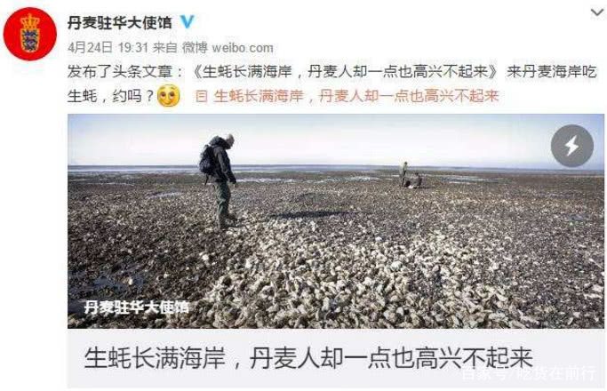 三亿体育-关于丹麦省却奇耻大败，球迷不满声音的信息